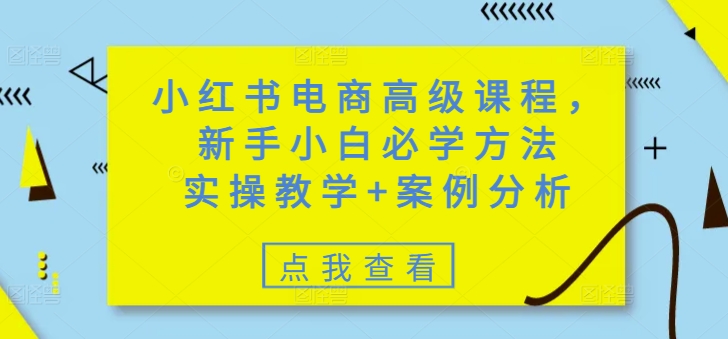 小红书电商高级课程，新手小白必学方法，实操教学+案例分析-朝夕创社