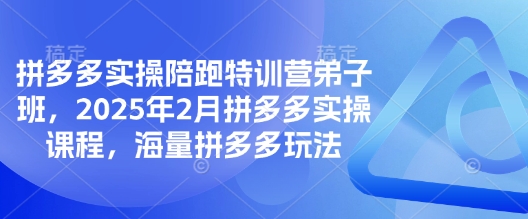 拼多多实操陪跑特训营弟子班，2025年拼多多实操课程，海量拼多多玩法-朝夕创社