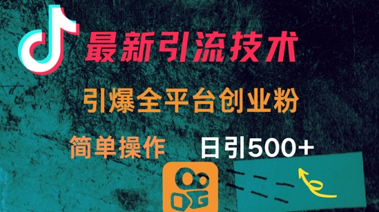 最新引流方法，引爆全平台的一个创业粉，简单操作日引300+-朝夕创社